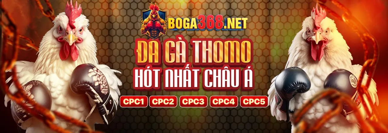 Hình ảnh bảo mật giải trí trực tuyến qs88 co